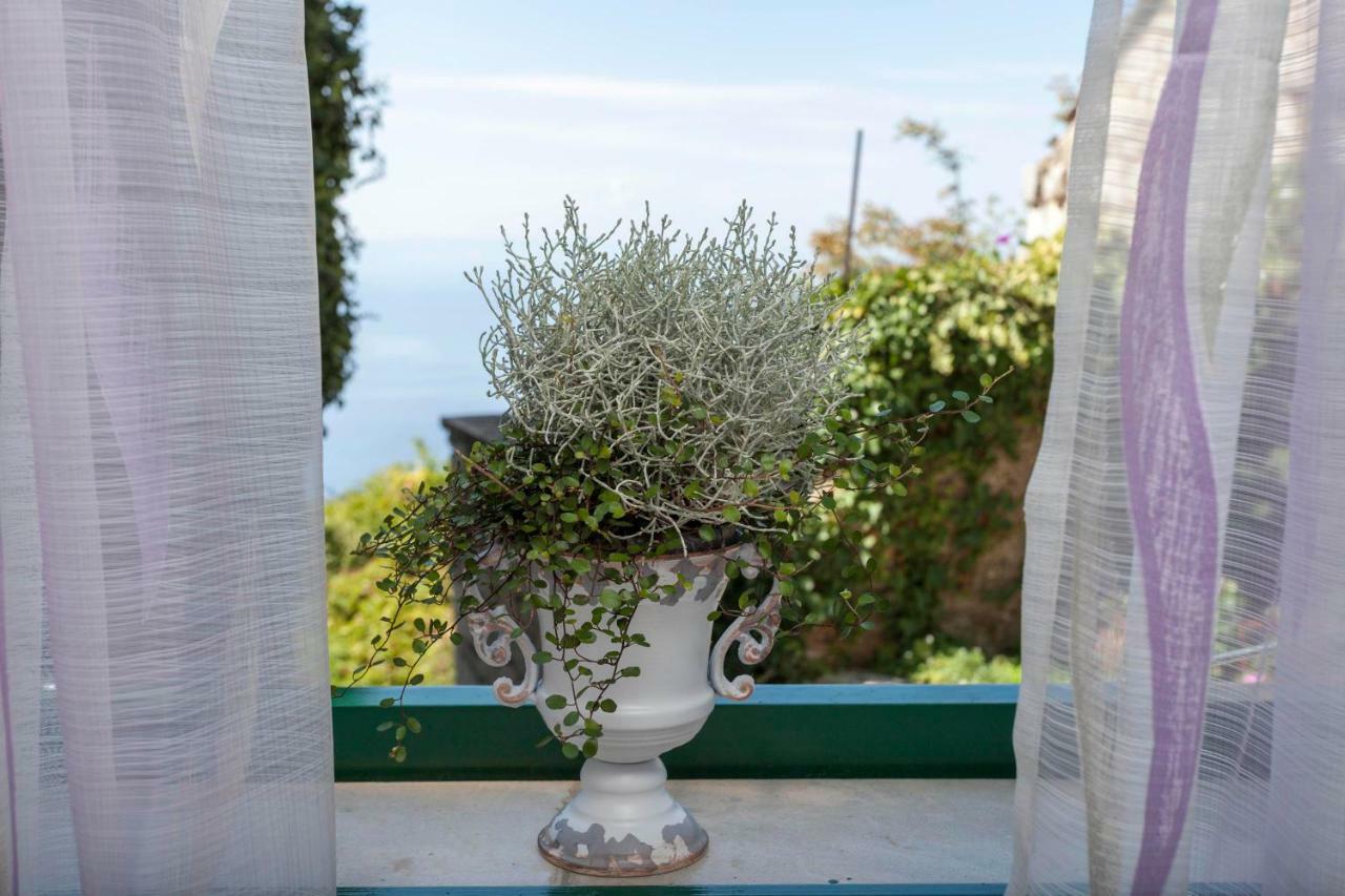 Holiday Home Lavanda Grubisic Tučepi Dış mekan fotoğraf