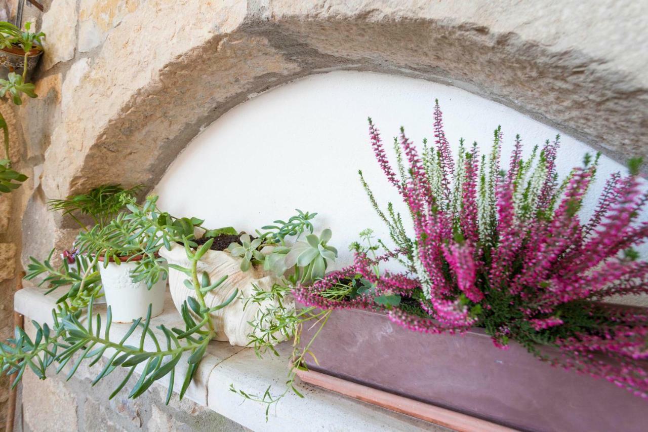 Holiday Home Lavanda Grubisic Tučepi Dış mekan fotoğraf