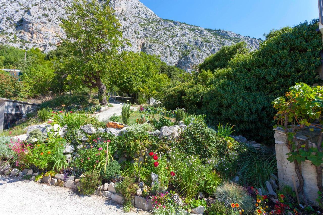 Holiday Home Lavanda Grubisic Tučepi Dış mekan fotoğraf